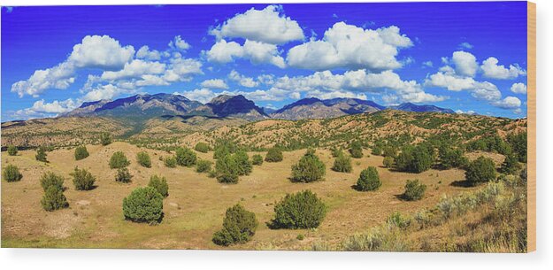 Gila National Forest Wood Print featuring the photograph New Mexico Beauty by Raul Rodriguez