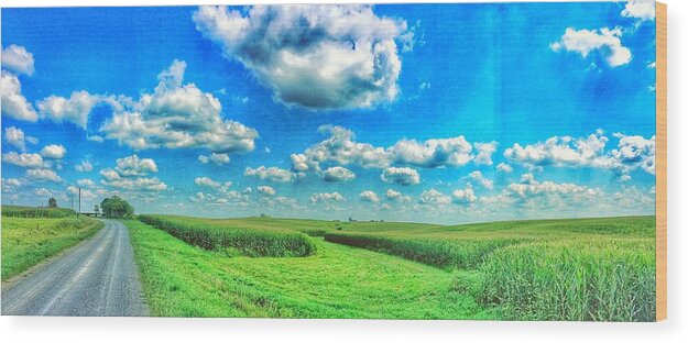 Iowa Wood Print featuring the photograph Path less Traveled by Jame Hayes