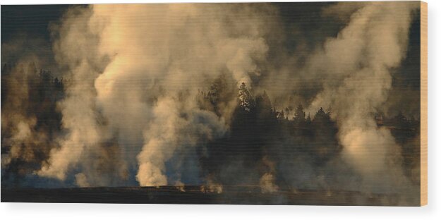 Americas Best Idea Wood Print featuring the photograph Plume Crazy by David Andersen