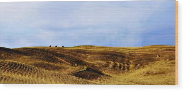 Italy Wood Print featuring the photograph Rolling Hills of Hay by Marilyn Hunt