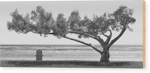Shade Tree Wood Print featuring the photograph Shade Tree bw by Mike McGlothlen