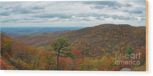 Shenandoah National Park Wood Print featuring the photograph Shenandoah Fall Foliage by Michael Ver Sprill