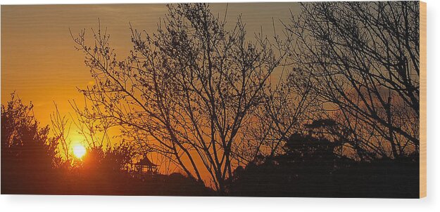 Sunset Wood Print featuring the photograph Sway by HweeYen Ong