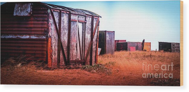 Iron Wood Print featuring the photograph The Landscape of Dungeness Beach, England by Perry Rodriguez