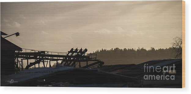 Sawmill Wood Print featuring the photograph The Old Sawmill by Torbjorn Swenelius