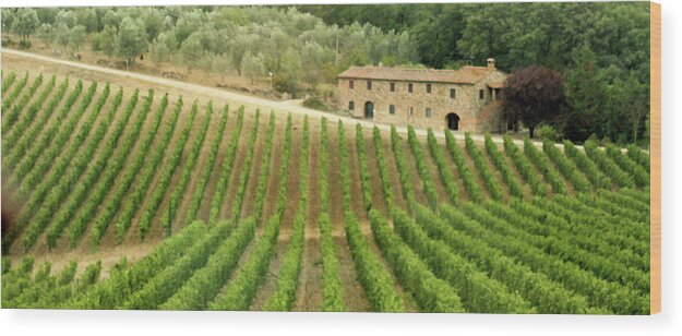 Italy Wood Print featuring the photograph Tuscan Symmetry by Vicki Hone Smith