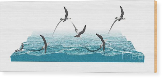 Artwork Wood Print featuring the photograph Albatross Flying Using Dynamic Soaring #2 by Mikkel Juul Jensen/science Photo Library