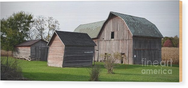 Barn Wood Print featuring the photograph A Barn, A Shed, A Leaner by Ron Long