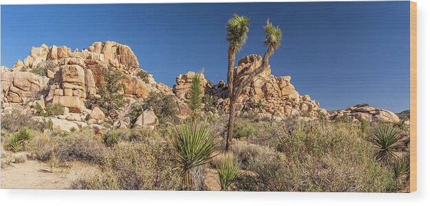 America Wood Print featuring the photograph Joshua Tree NP - Barker Dam Nature Trail by ProPeak Photography