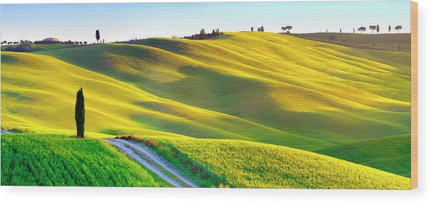 Estock Wood Print featuring the digital art Italy, Tuscany, Siena District, Orcia Valley, Tuscan Landscape Lit By The Sunrise by Francesco Carovillano