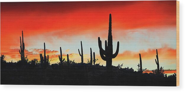 Panorama Wood Print featuring the photograph Saguaro Ridge Panorama, Arizona by Don Schimmel