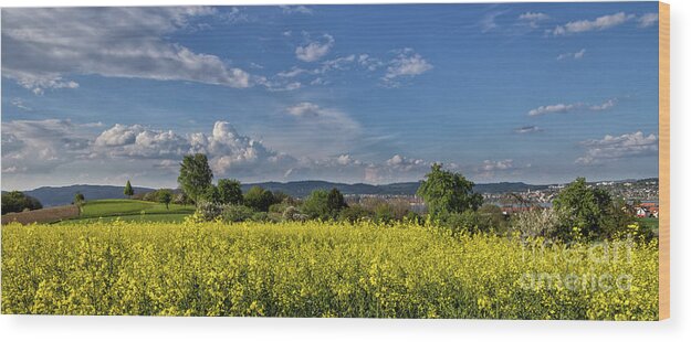 Spring Wood Print featuring the photograph Summer on Lake Constance by Bernd Laeschke