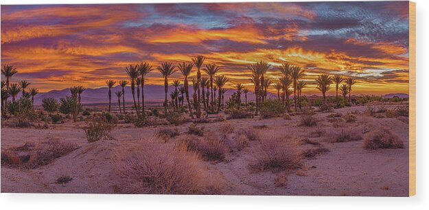 Anza-borrego Desert Wood Print featuring the photograph Sunrise - Borrego Springs by Peter Tellone