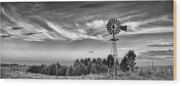 Windmill Wood Print featuring the photograph Colorado Windmill by Bob Falcone
