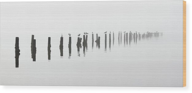 Black And White Wood Print featuring the photograph Foggy Old Pier In Black And White Florida by Jordan Hill