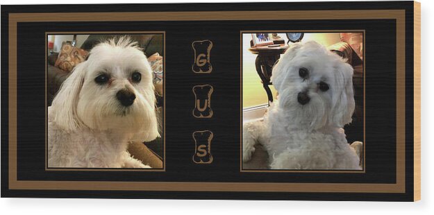 Dog Wood Print featuring the photograph Gus by Kathy K McClellan