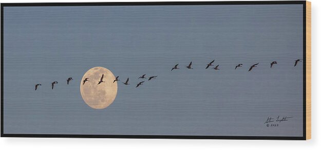 Nature Wood Print featuring the photograph Headed to Roost by Steve Templeton