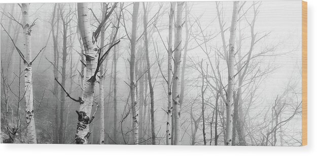 Black And White Wood Print featuring the photograph - by Mirko Chessari