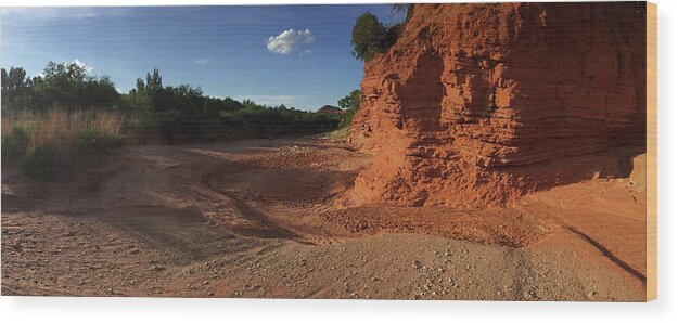 Richard E. Porter Wood Print featuring the photograph No Water Here, Caprock Canyons State Park, Texas by Richard Porter