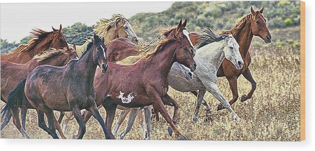 Horses Wood Print featuring the photograph On The Run Color by Don Schimmel