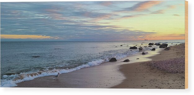 Sunsets Shorelines And Seashells Wood Print featuring the photograph Sunsets Shorelines and Seashells by Christina McGoran