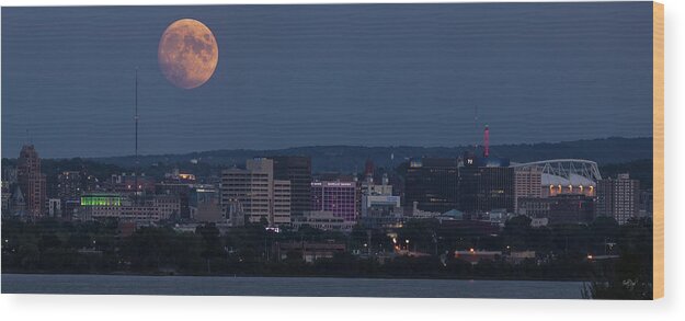 Syracuse Wood Print featuring the photograph Syracuse On The Lake by Everet Regal