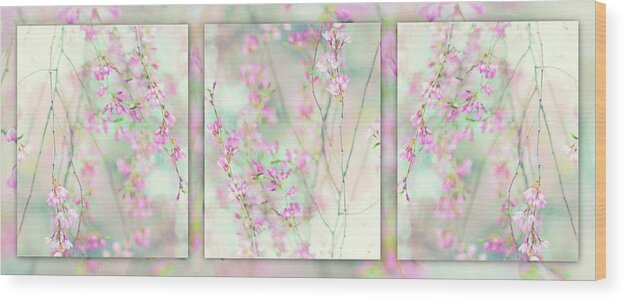 Triptych Wood Print featuring the photograph Cherry Blossom Triptych Collage by Jessica Jenney