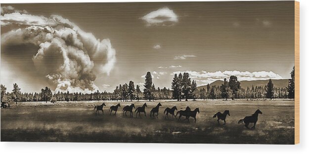Fire Wood Print featuring the photograph Wild Horse Fire, Sepia by Don Schimmel