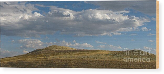 Patzer Wood Print featuring the photograph The Fence #2 by Greg Patzer