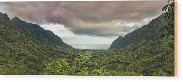 Hawaii Wood Print featuring the photograph Kaaawa valley panorama by Dan McManus