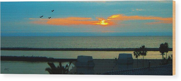 Sunset Wood Print featuring the photograph Ocean Sunset With Birds by Ben and Raisa Gertsberg