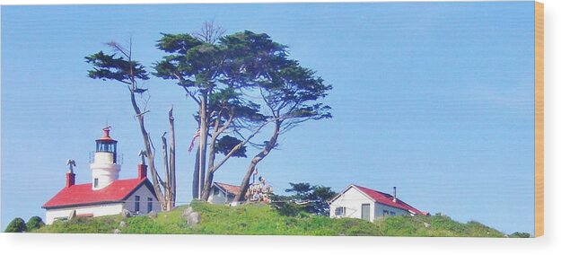 Sky Wood Print featuring the photograph Red Roofs by Marilyn Diaz