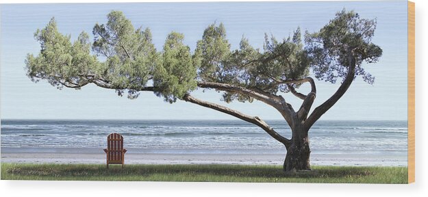 Shade Tree Wood Print featuring the photograph Shade Tree Panoramic by Mike McGlothlen