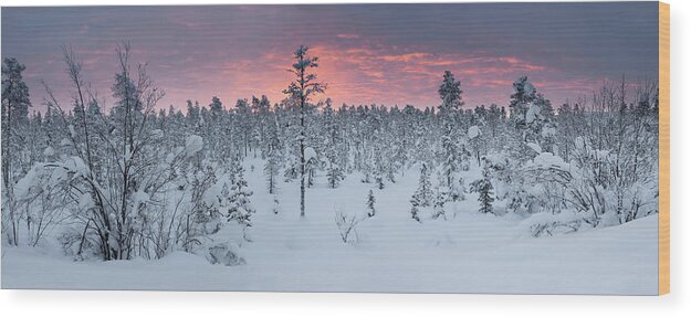 Tranquility Wood Print featuring the photograph The Last Sunrise In Kiruna by Getty Images