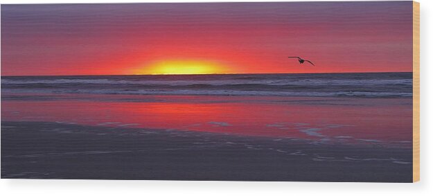 Wildwood Wood Print featuring the photograph Wildwood Sunrise Dreaming by David Dehner