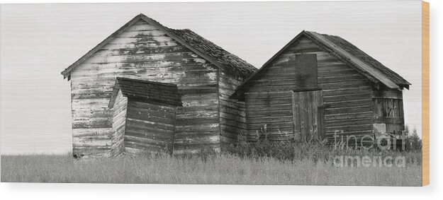 Digital Art Wood Print featuring the photograph Canadian Barns by Jerry Fornarotto