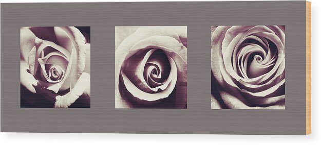 Roses Wood Print featuring the photograph Dusk roses by Sumit Mehndiratta