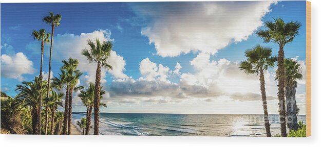 Beach Wood Print featuring the photograph Before Sunset at Swami's Beach by David Levin