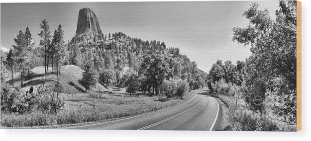 Black And White Wood Print featuring the photograph Devils Tower Road Panorama - Black And White by Adam Jewell
