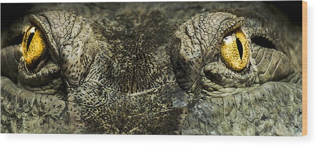 Crocodile Wood Print featuring the photograph The soul searcher by Paul Neville
