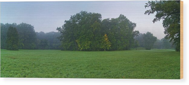Landscape Park Wood Print featuring the photograph Green meadow in autumn by Sun Travels