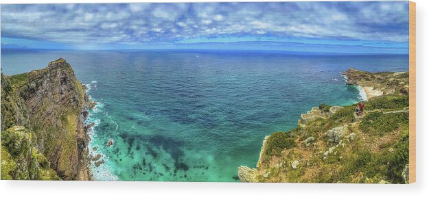 Cape Of Good Hope South Africa Wood Print featuring the photograph Cape of Good Hope South Africa #32 by Paul James Bannerman