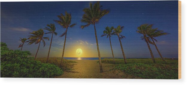 Moon Wood Print featuring the photograph Spring Equinox Moon at Fort Lauderdale Beach by Mark Andrew Thomas