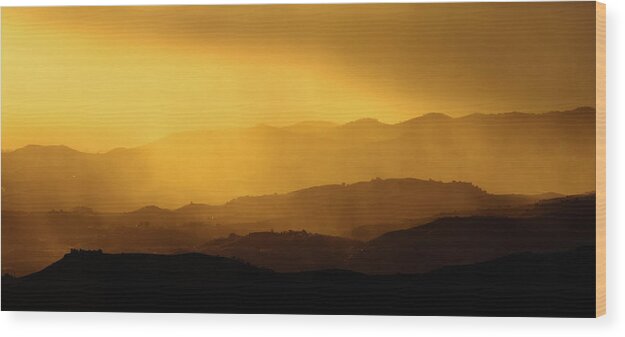 Golden Wood Print featuring the photograph Golden by Gary Browne