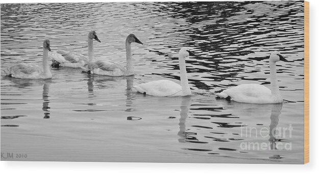 Swan Wood Print featuring the photograph Swan Flotilla by Kevin Munro