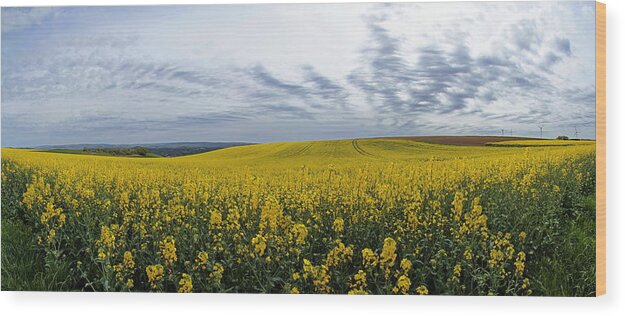 Scenics Wood Print featuring the photograph Agricultural Landscape With Rapefield #1 by Hans-peter Merten