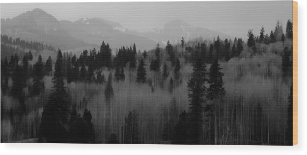  Wood Print featuring the photograph Chama trees by Atom Crawford