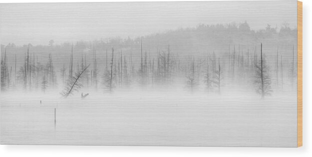 Black And White Trees Wood Print featuring the photograph Ghost Trees V by David Waldrop