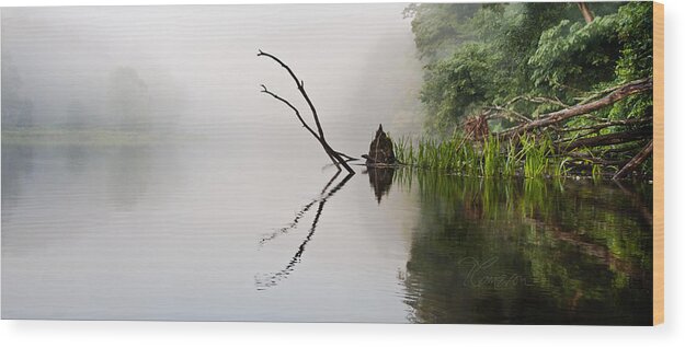 Farmington River Wood Print featuring the photograph River Crabs by Tom Cameron