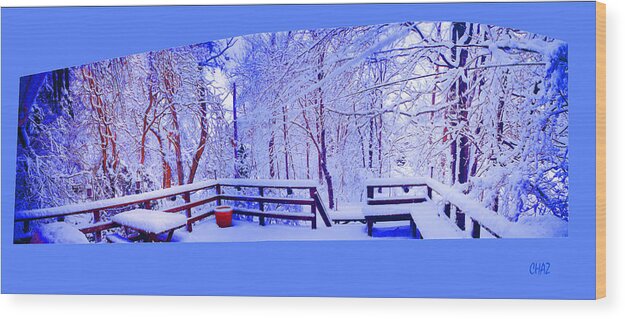 Winter Wood Print featuring the photograph Snowy Deck by CHAZ Daugherty